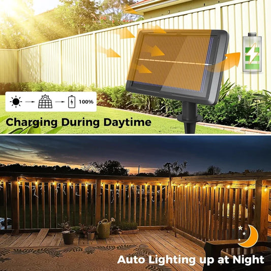 Solar Festoon Lights